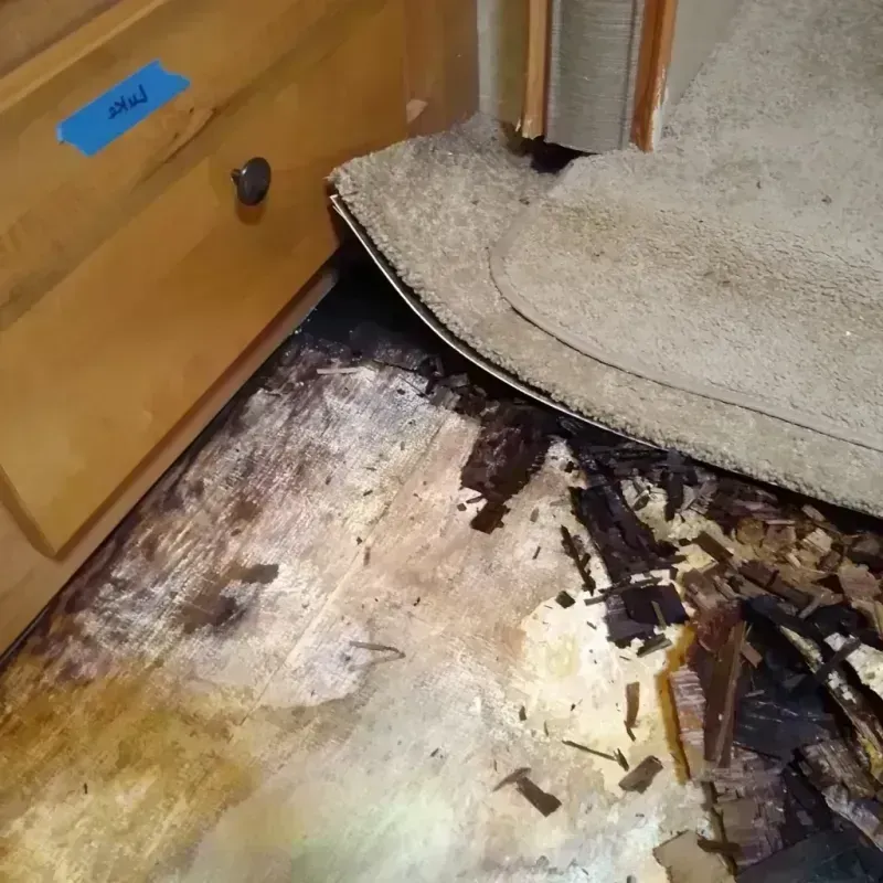 Best Wood Floor Water Damage Service in McIntosh County, GA